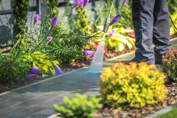 Best Gas Station Cleaning  in El Dorado Hills, CA
