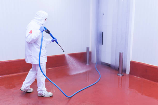 Best Graffiti Removal  in El Dorado Hills, CA